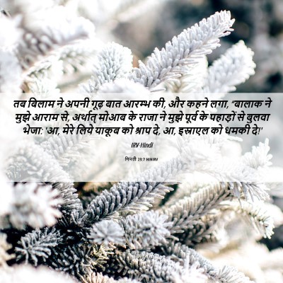 Picture 06 - गिनती 23:7 HINIRV - तब बिलाम ने अपनी - Bible Verse Picture