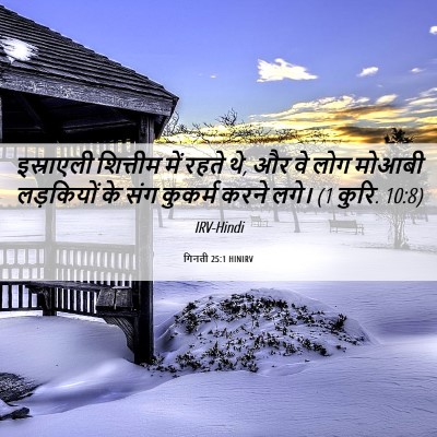 Picture 06 - गिनती 25:1 HINIRV - इस्राएली शित्तीम - Bible Verse Picture