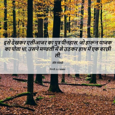 Picture 06 - गिनती 25:7 HINIRV - इसे देखकर एलीआजर - Bible Verse Picture