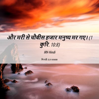 Picture 06 - गिनती 25:9 HINIRV - और मरी से चौबीस - Bible Verse Picture