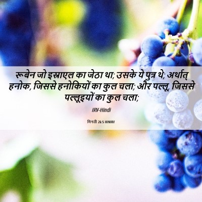 Picture 06 - गिनती 26:5 HINIRV - रूबेन जो इस्राएल - Bible Verse Picture