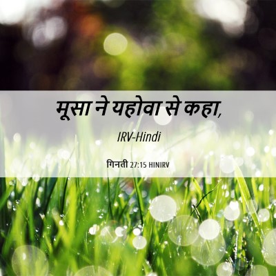 Picture 06 - गिनती 27:15 HINIRV - मूसा ने यहोवा से - Bible Verse Picture