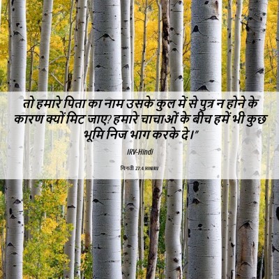 Picture 06 - गिनती 27:4 HINIRV - तो हमारे पिता का - Bible Verse Picture