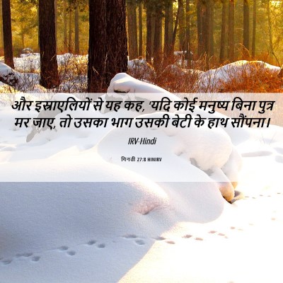Picture 06 - गिनती 27:8 HINIRV - और इस्राएलियों से - Bible Verse Picture