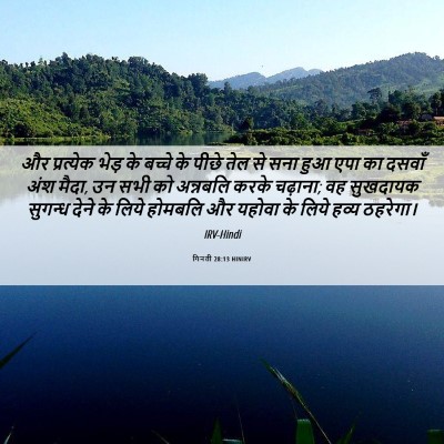 Picture 06 - गिनती 28:13 HINIRV - और प्रत्येक भेड़ - Bible Verse Picture