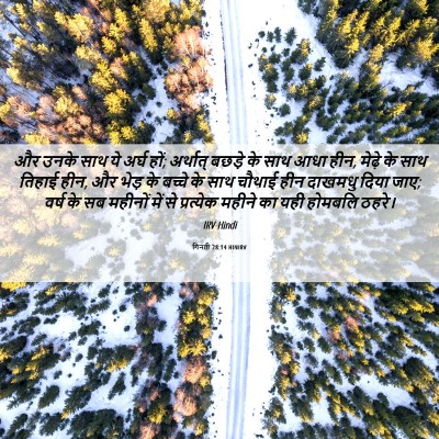 Picture 06 - गिनती 28:14 HINIRV - और उनके साथ ये अर्घ - Bible Verse Picture