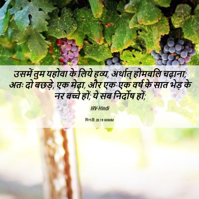 Picture 06 - गिनती 28:19 HINIRV - उसमें तुम यहोवा के - Bible Verse Picture