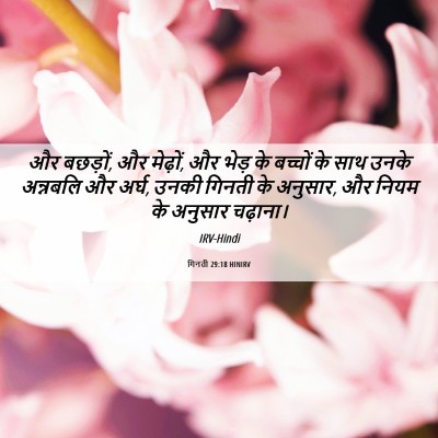 Picture 06 - गिनती 29:18 HINIRV - और बछड़ों, और - Bible Verse Picture