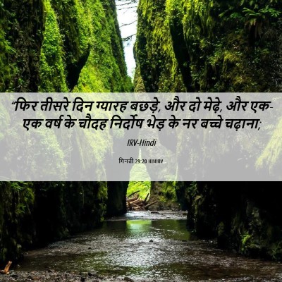 Picture 06 - गिनती 29:20 HINIRV - “फिर तीसरे दिन - Bible Verse Picture