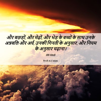 Picture 06 - गिनती 29:21 HINIRV - और बछड़ों, और - Bible Verse Picture