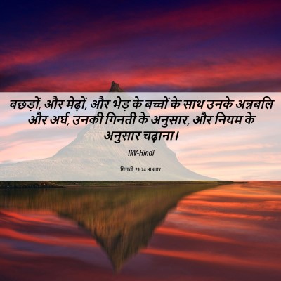 Picture 06 - गिनती 29:24 HINIRV - बछड़ों, और मेढ़ों, - Bible Verse Picture