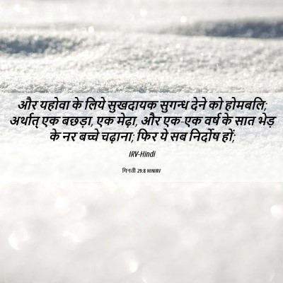 Picture 06 - गिनती 29:8 HINIRV - और यहोवा के लिये - Bible Verse Picture