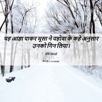 Picture 06 - गिनती 3:16 HINIRV - यह आज्ञा पाकर मूसा - Bible Verse Picture