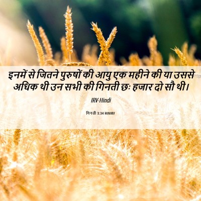 Picture 06 - गिनती 3:34 HINIRV - इनमें से जितने - Bible Verse Picture