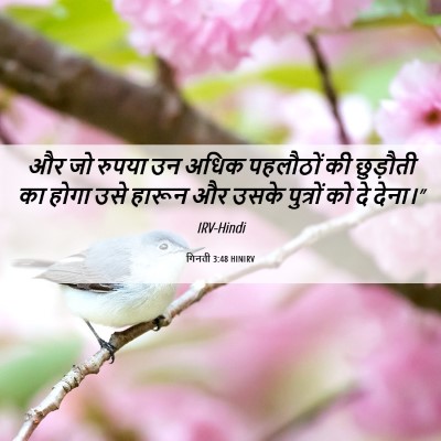 Picture 06 - गिनती 3:48 HINIRV - और जो रुपया उन अधिक - Bible Verse Picture