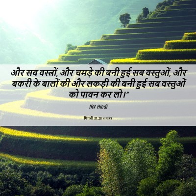 Picture 06 - गिनती 31:20 HINIRV - और सब वस्त्रों, और - Bible Verse Picture