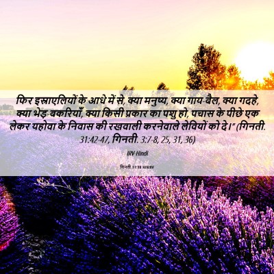 Picture 06 - गिनती 31:30 HINIRV - फिर इस्राएलियों - Bible Verse Picture