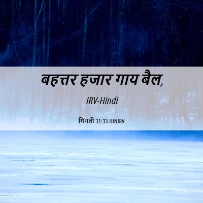 Picture 06 - गिनती 31:33 HINIRV - बहत्तर हजार गाय - Bible Verse Picture