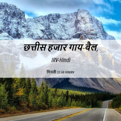Picture 06 - गिनती 31:44 HINIRV - छत्तीस हजार - Bible Verse Picture