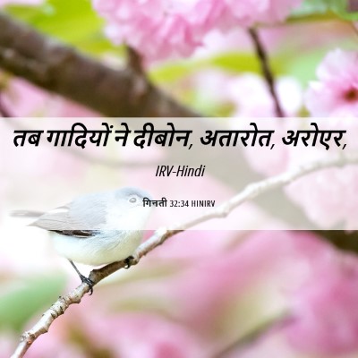 Picture 06 - गिनती 32:34 HINIRV - तब गादियों ने - Bible Verse Picture