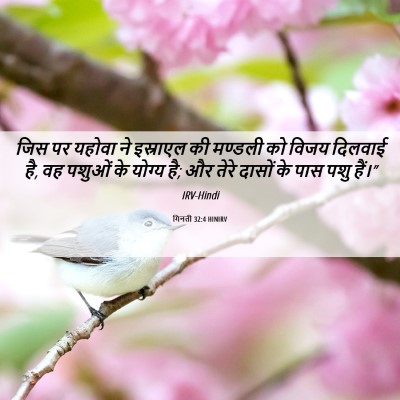 Picture 06 - गिनती 32:4 HINIRV - जिस पर यहोवा ने - Bible Verse Picture