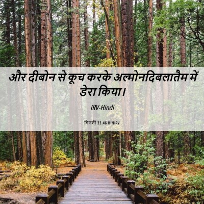 Picture 06 - गिनती 33:46 HINIRV - और दीबोन से कूच - Bible Verse Picture