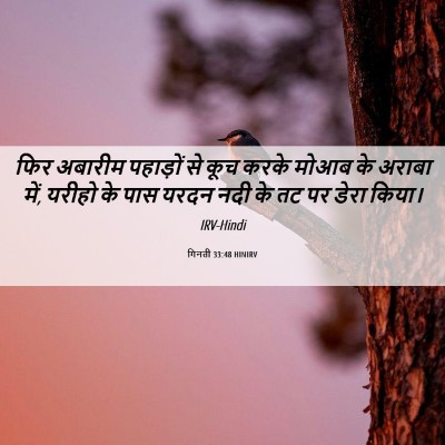 Picture 06 - गिनती 33:48 HINIRV - फिर अबारीम - Bible Verse Picture