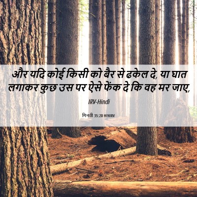 Picture 06 - गिनती 35:20 HINIRV - और यदि कोई किसी को - Bible Verse Picture