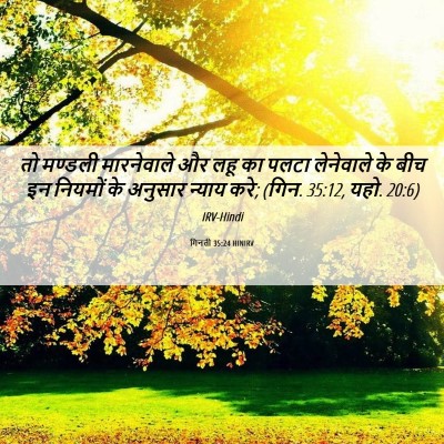 Picture 06 - गिनती 35:24 HINIRV - तो मण्डली - Bible Verse Picture