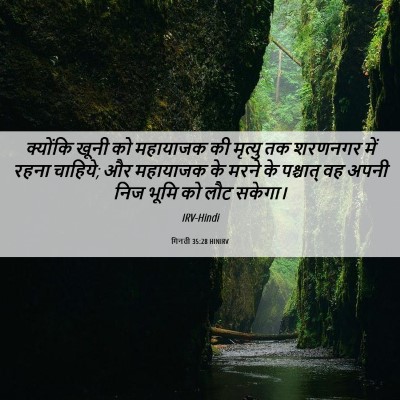 Picture 06 - गिनती 35:28 HINIRV - क्योंकि खूनी को - Bible Verse Picture