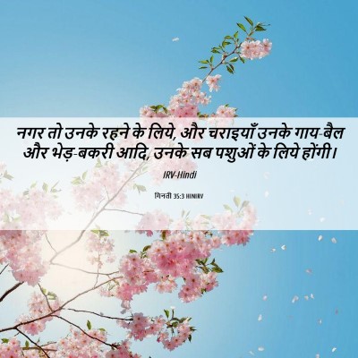 Picture 06 - गिनती 35:3 HINIRV - नगर तो उनके रहने के - Bible Verse Picture