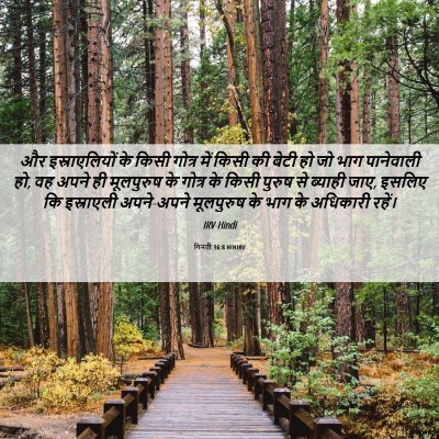 Picture 06 - गिनती 36:8 HINIRV - और इस्राएलियों के - Bible Verse Picture