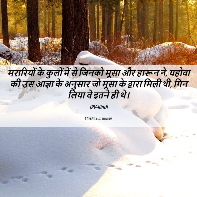 Picture 06 - गिनती 4:45 HINIRV - मरारियों के कुलों - Bible Verse Picture