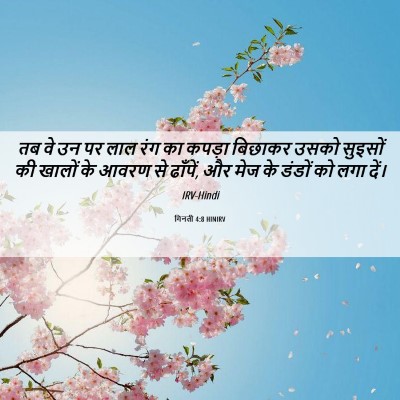 Picture 06 - गिनती 4:8 HINIRV - तब वे उन पर लाल रंग - Bible Verse Picture