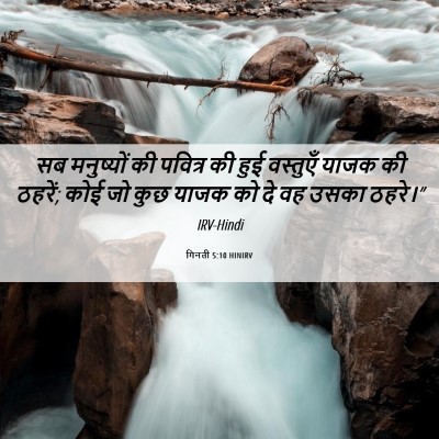 Picture 06 - गिनती 5:10 HINIRV - सब मनुष्यों की - Bible Verse Picture