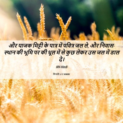 Picture 06 - गिनती 5:17 HINIRV - और याजक मिट्टी के - Bible Verse Picture