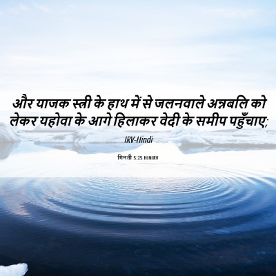 Picture 06 - गिनती 5:25 HINIRV - और याजक स्त्री के - Bible Verse Picture