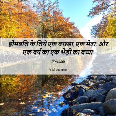Picture 06 - गिनती 7:15 HINIRV - होमबलि के लिये एक - Bible Verse Picture