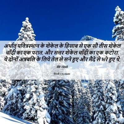 Picture 06 - गिनती 7:25 HINIRV - अर्थात् - Bible Verse Picture