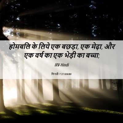Picture 06 - गिनती 7:27 HINIRV - होमबलि के लिये एक - Bible Verse Picture