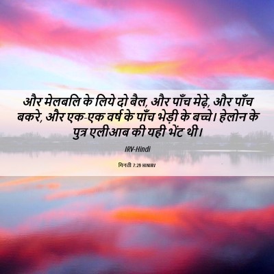 Picture 06 - गिनती 7:29 HINIRV - और मेलबलि के लिये - Bible Verse Picture
