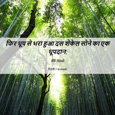 Picture 06 - गिनती 7:38 HINIRV - फिर धूप से भरा हुआ - Bible Verse Picture