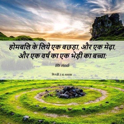 Picture 06 - गिनती 7:45 HINIRV - होमबलि के लिये एक - Bible Verse Picture