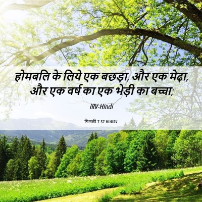 Picture 06 - गिनती 7:57 HINIRV - होमबलि के लिये एक - Bible Verse Picture