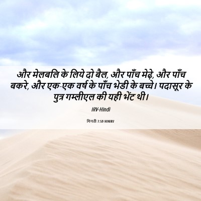 Picture 06 - गिनती 7:59 HINIRV - और मेलबलि के लिये - Bible Verse Picture