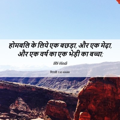 Picture 06 - गिनती 7:63 HINIRV - होमबलि के लिये एक - Bible Verse Picture