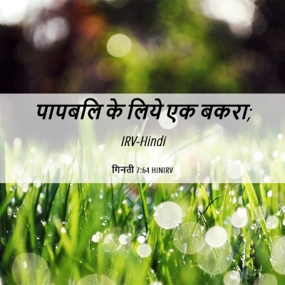 Picture 06 - गिनती 7:64 HINIRV - पापबलि के लिये एक - Bible Verse Picture