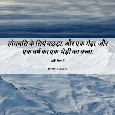 Picture 06 - गिनती 7:69 HINIRV - होमबलि के लिये - Bible Verse Picture