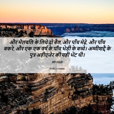 Picture 06 - गिनती 7:71 HINIRV - और मेलबलि के लिये - Bible Verse Picture