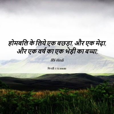 Picture 06 - गिनती 7:75 HINIRV - होमबलि के लिये एक - Bible Verse Picture